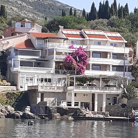 Apartments Ane Molunat Zewnętrze zdjęcie